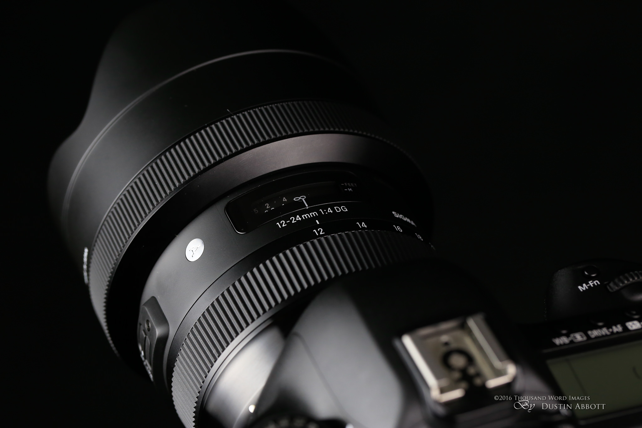 Sigma 12-24mm f/4 ART Review - DustinAbbott.net