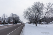 Frosty Sigma Morning-13