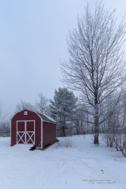 Frosty Sigma Morning-14