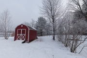 Frosty Sigma Morning-15