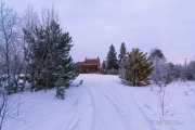 Frosty Sigma Morning-2