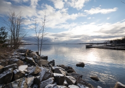Landscapes-3