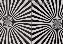 85 v 135 Stopped Down M Center