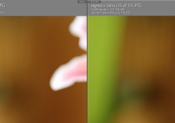 Bokeh Softness 2
