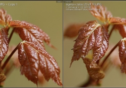Microcontrast