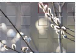 Outer Focus Point
