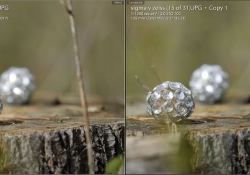 Sigma vs Milvus Color
