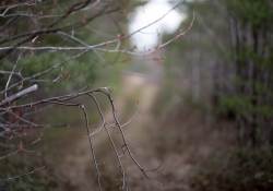 Signs of Passage