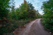 Home-Samples-7