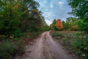 Home-Samples-8