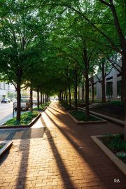Indianapolis-28