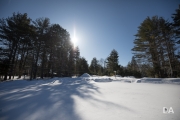 Sigma 14-24 Flare