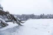 Winters Vengeance-17