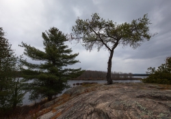 Landscapes-2