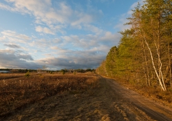 Landscapes