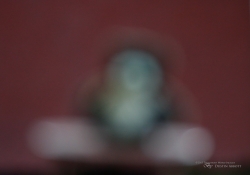 Out of Focus