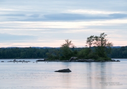 Samples Images-10