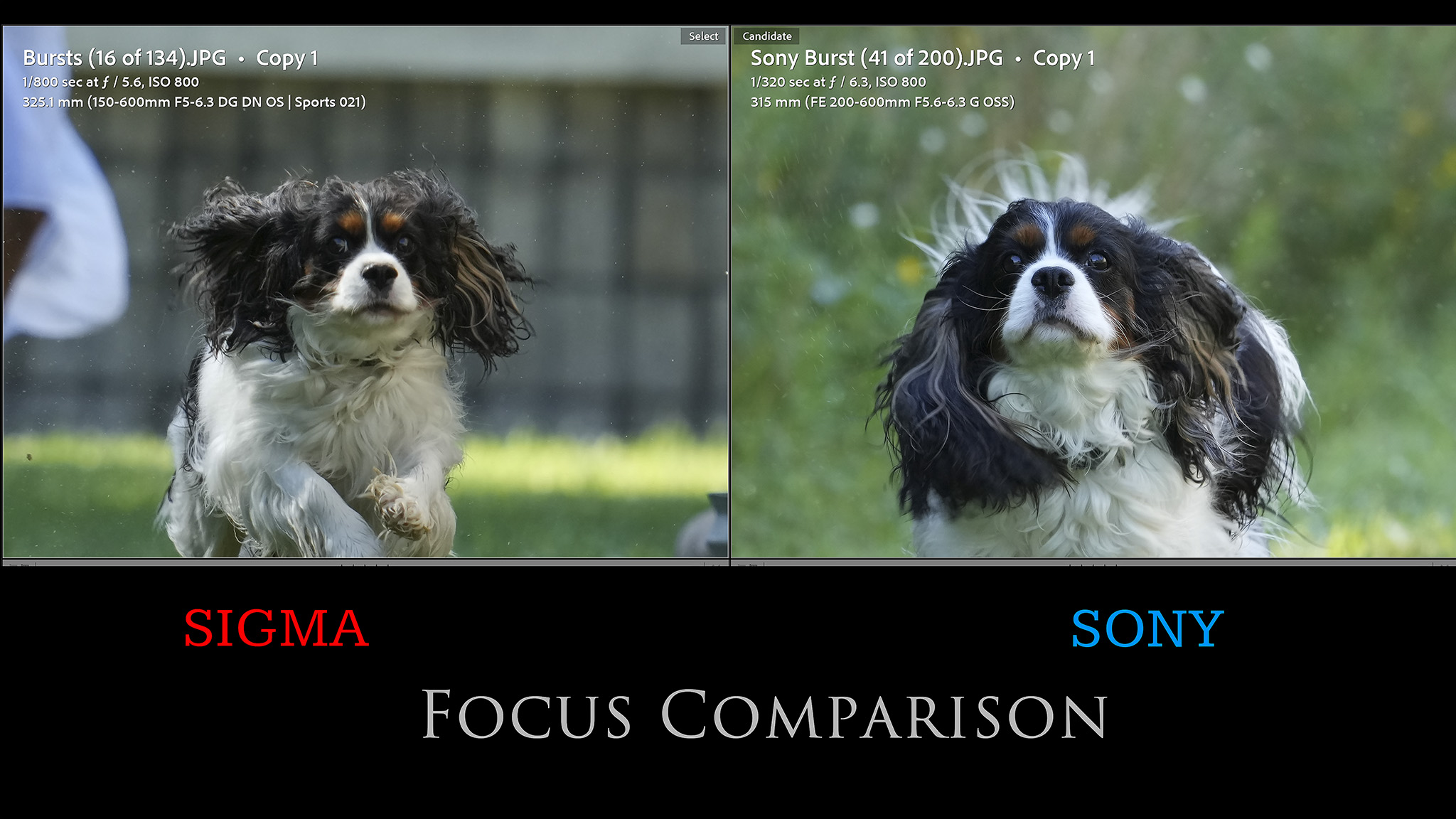 20-Focus-Comparison