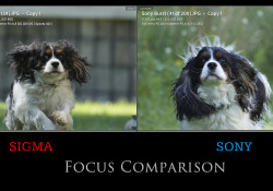 20-Focus-Comparison
