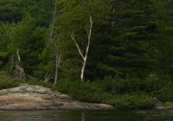 36-Real-World-Sharpness-3 36-Real-World-Sharpness-3