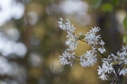 Unprocessed Samples-33