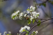 Unprocessed Samples-35