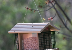 24 Birdhouse.jpg