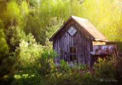 Processed Favorites-3