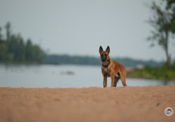 150-600-DN-Samples-18