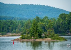 150-600-DN-Samples-2