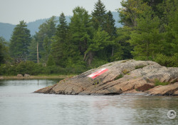 150-600-DN-Samples-23