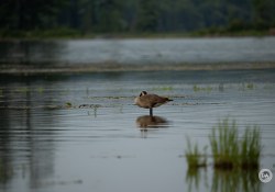 150-600-DN-Samples-3