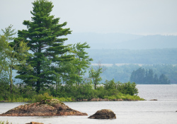 150-600-DN-Samples-37