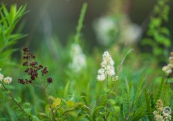 150-600-DN-Samples-38