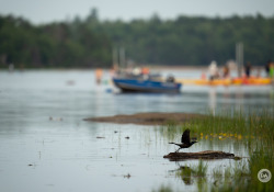 150-600-DN-Samples-4