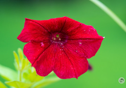 150-600-DN-Samples-47