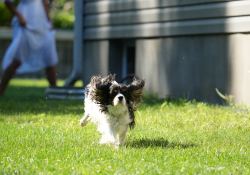 150-600-DN-Samples-48