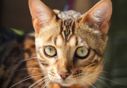 150-600-DN-Samples-49