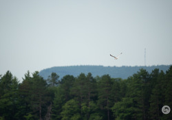 150-600-DN-Samples-5