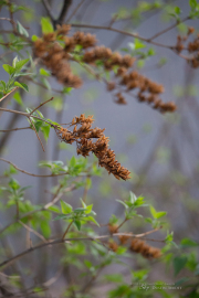 Unprocessed Samples-14