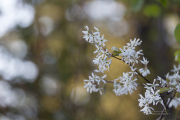 Unprocessed Samples-33