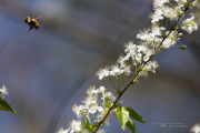 Unprocessed Samples-34