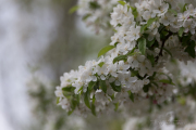 Unprocessed Samples-57