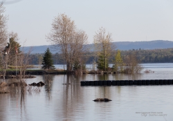 Unprocessed Samples-29