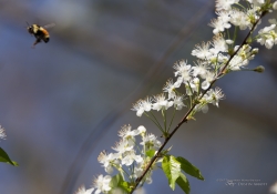 Unprocessed Samples-34
