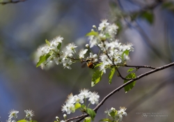 Unprocessed Samples-35