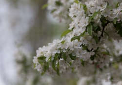 Unprocessed Samples-57