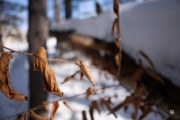 37-Gallery-10-of-16