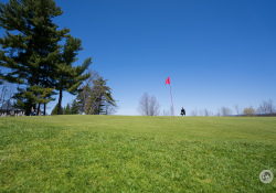 19-Golfer
