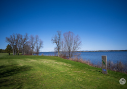 24-Uncorrected-Vignette